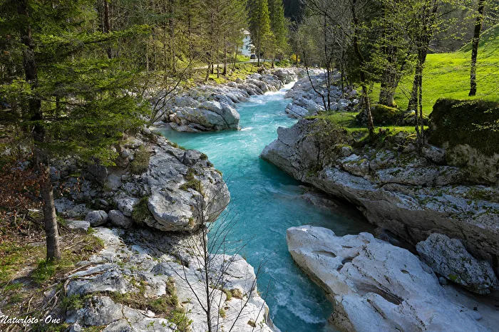 Wildbach