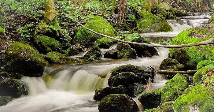 Lebendiges Wasser