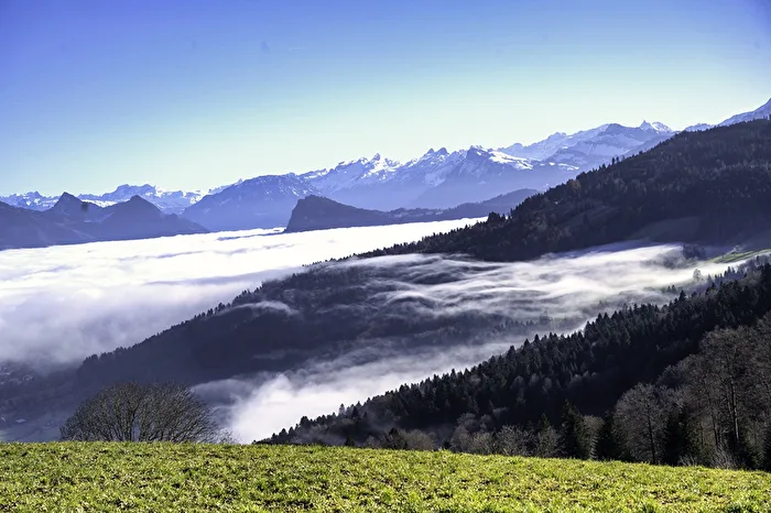 Über dem Nebel