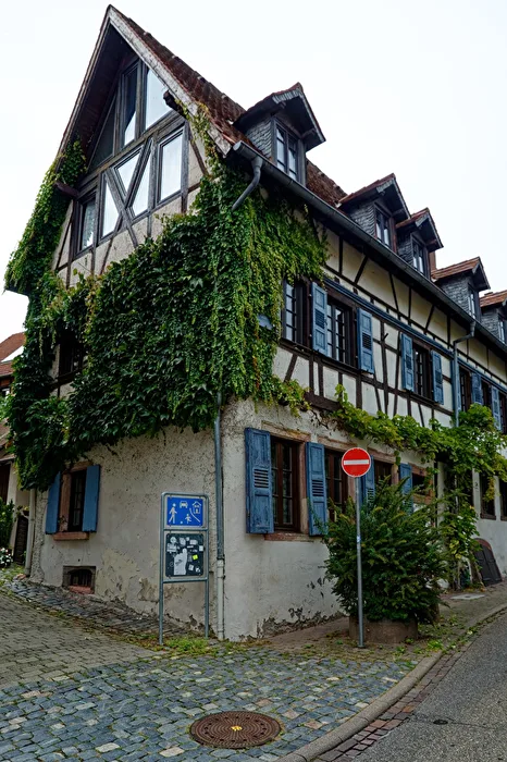 Half-timbered house