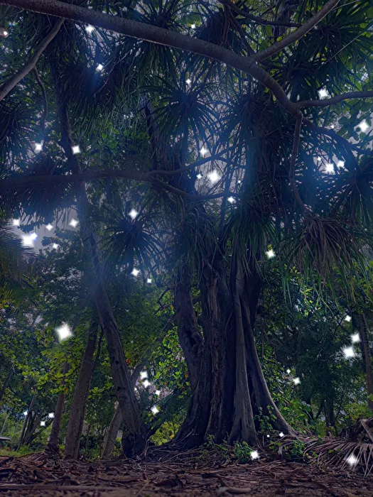 The Night of the Fireflies...