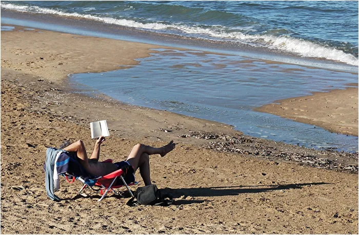 Bookworm in the tidal zone