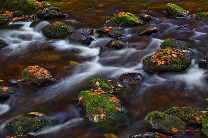 Wildwasser