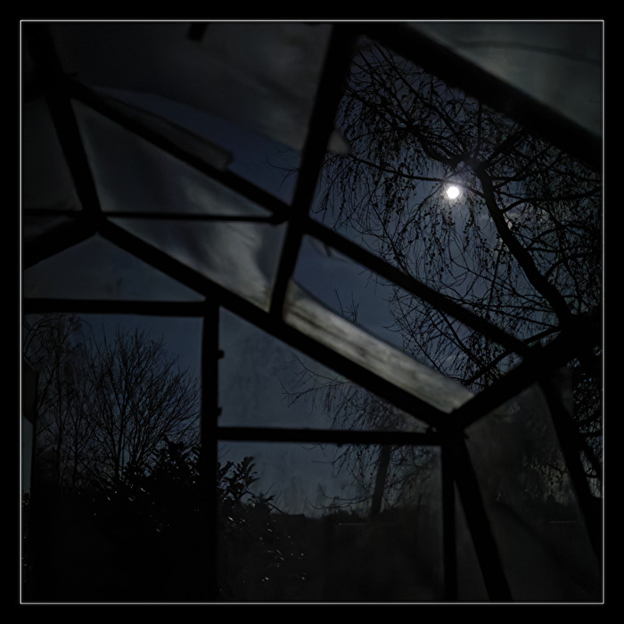 moonshine
