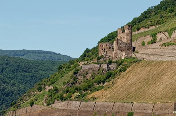 Burg Ehrenfels