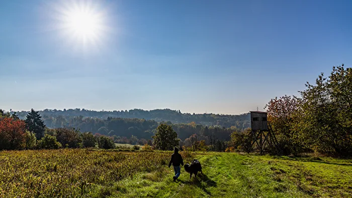 Morgenspaziergang