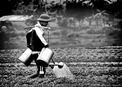 #Monochrom - Gärtnern in Vietnam