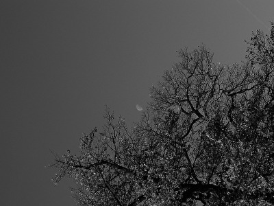 Hannover Herrenhausen