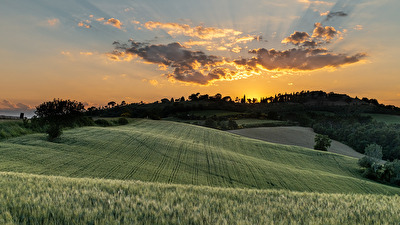 Sonnenuntergang in San Terenziano/Umbrien
