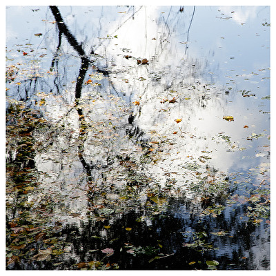 autumnal reflections