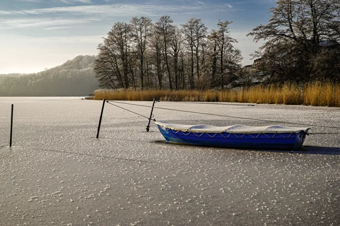 See in Winter
