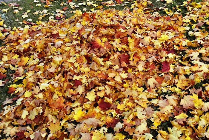 Herbst