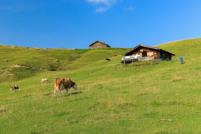 Im Hochgebirge