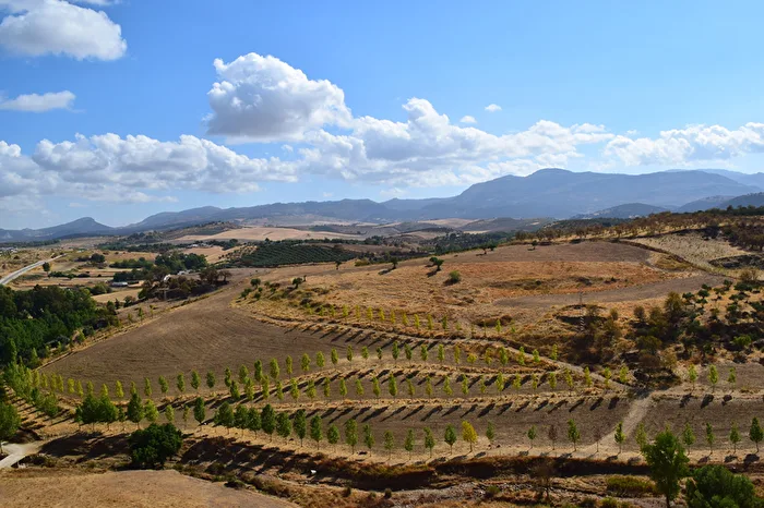 Spanien