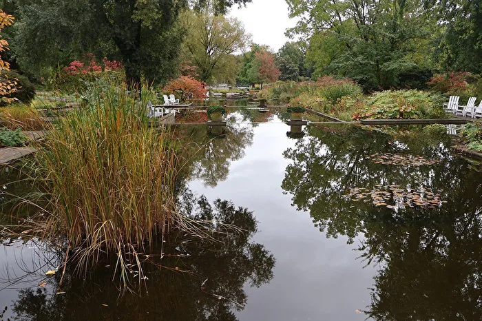 Der Teich
