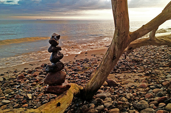 "Kleinkunst" auf Schwemmholz am Strand
