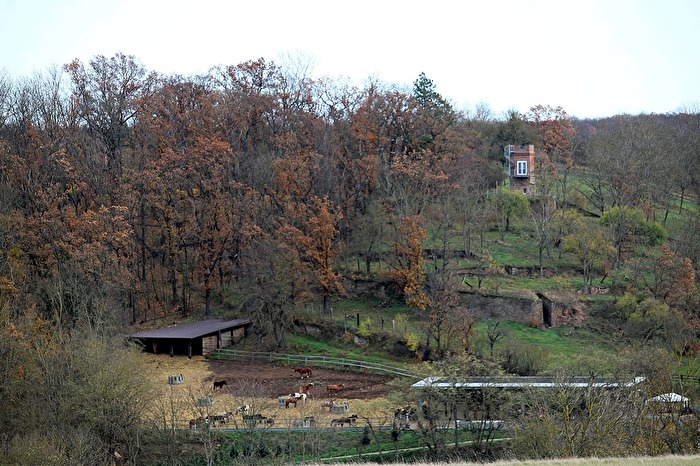 Kroppental