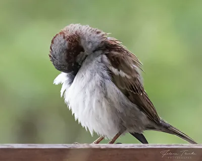 Nicht mein Tag...