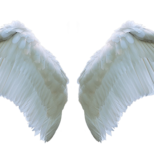 Digiart-Challenge "Januar 2020"