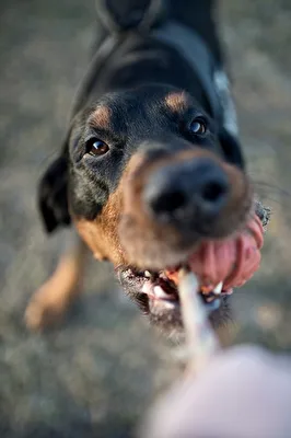 Max...