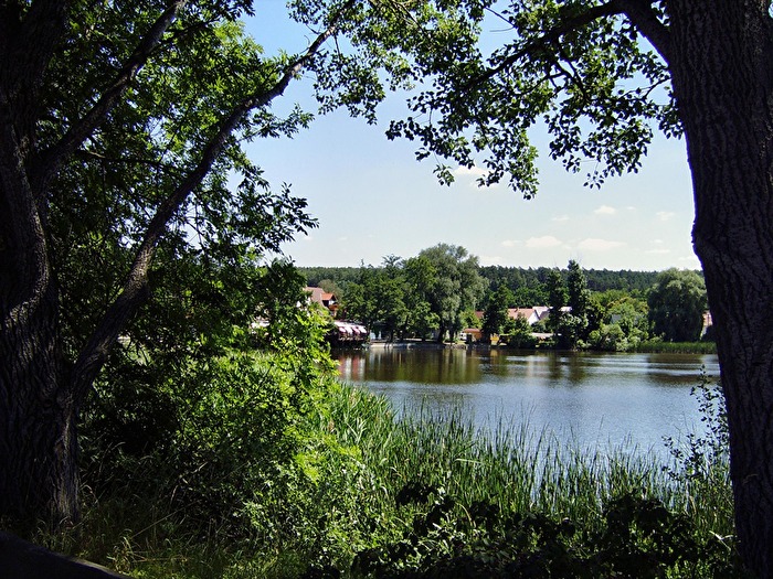 Blick auf den Hainspitzer See