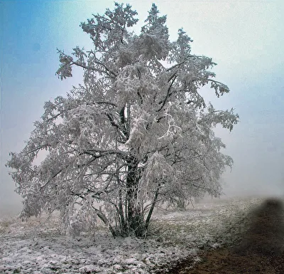 Frostige Zeiten