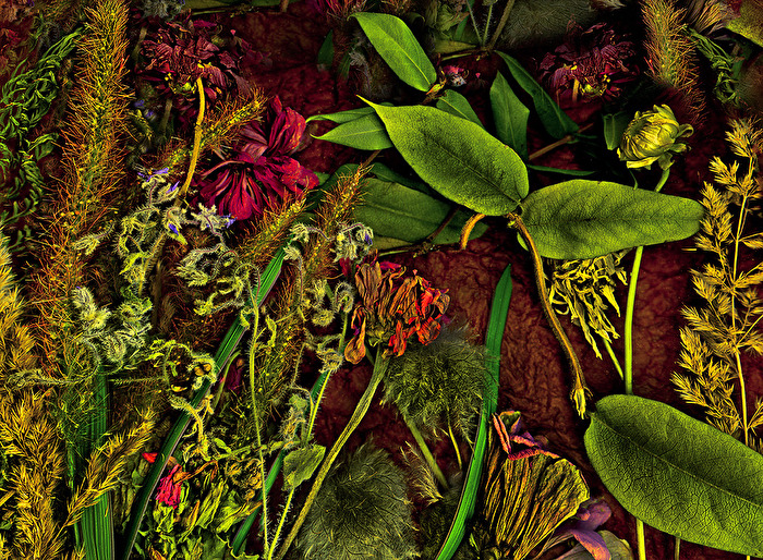 Anderswelten  (No.97)