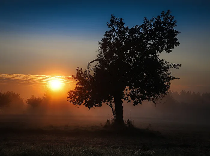 Ein schöner Morgen bricht an