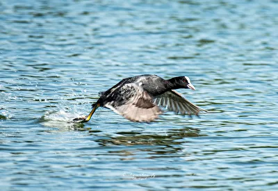 Abflug