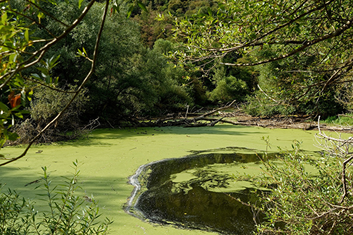 Natur pur