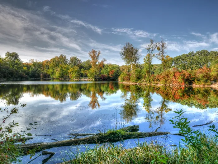 Danube-Auen National Park