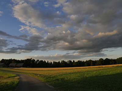Abendspaziergang