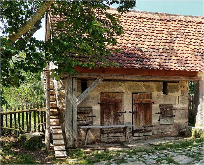 Schweinestall