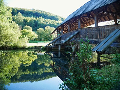 Brücken - Itzelberger See