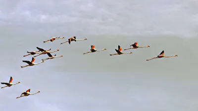 takeoff