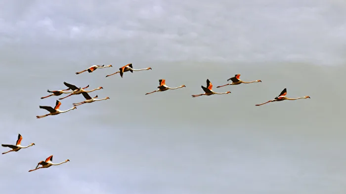 takeoff