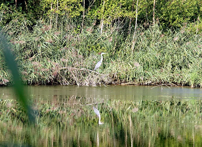 Ungestörte Natur