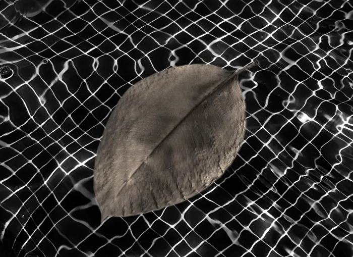nur ein Blatt