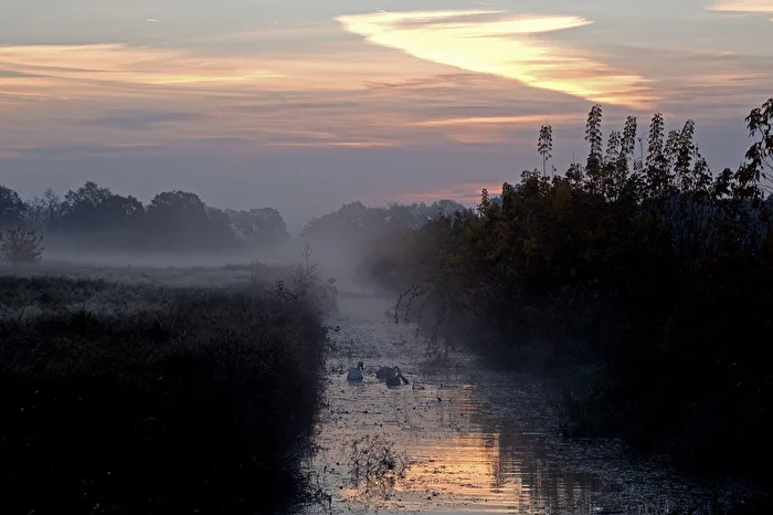 Morgenstimmung