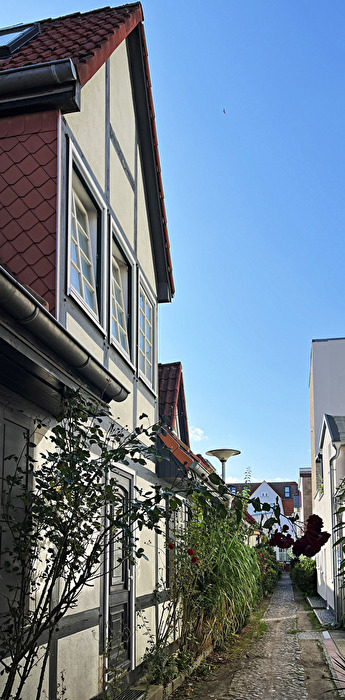 Straße mit Rose...