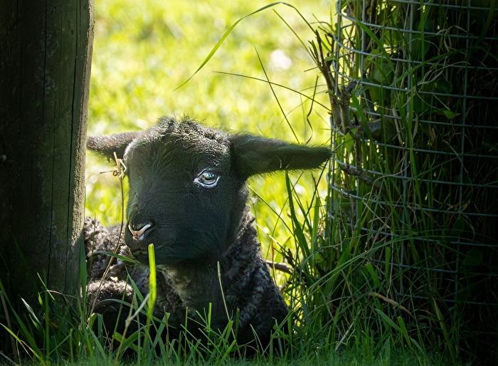 Ich mach Pause