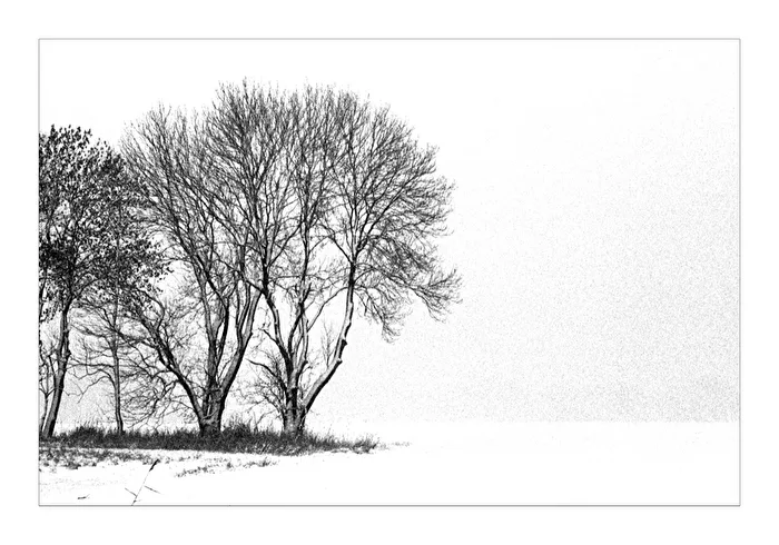 Wintertag