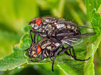 Foto: Spaß im Garten