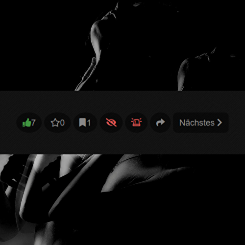 Akt und Erotik optimiert