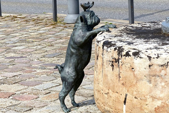 Was gibt es denn da hinten !