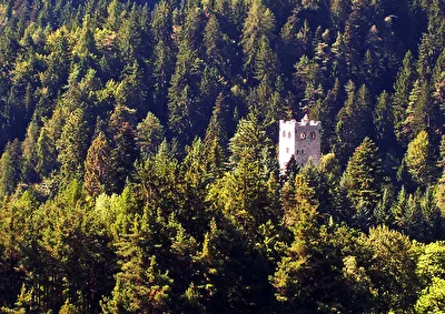 Wald