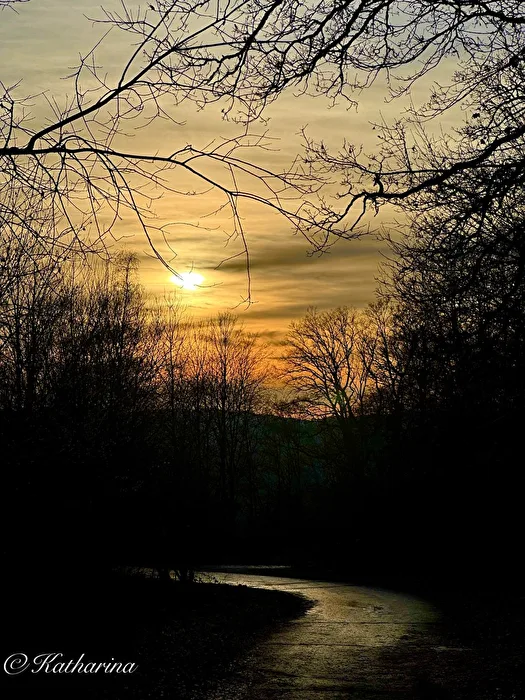 Februardämmerung