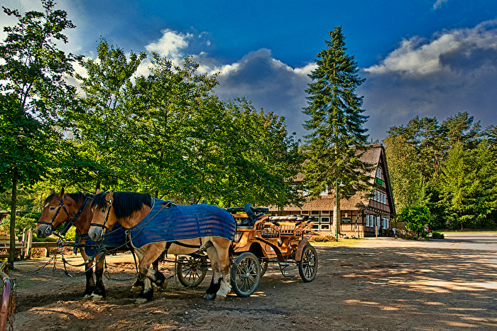 Warten auf Touristen