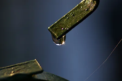 Drops 2