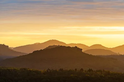 Pfälzer Morgen